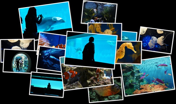 "しなすい　NEX-5" の表示